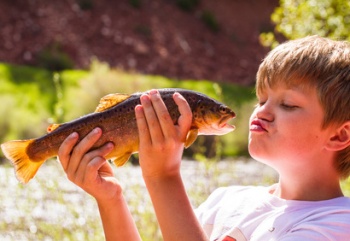 Fisch schützt Kinder vor Allergie und Asthma