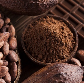 Kakao und Schokolade fürs Gehirn